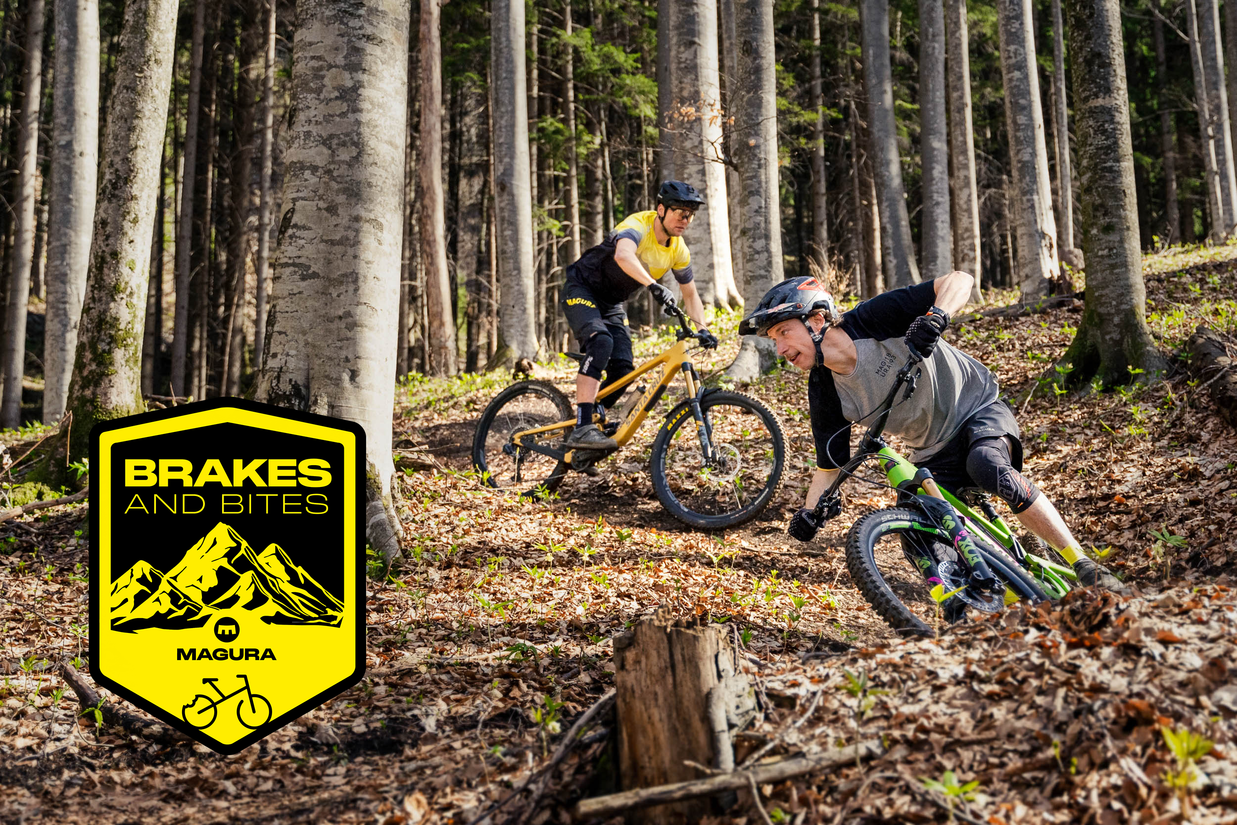 MAGURA | Bike & Powersports Components