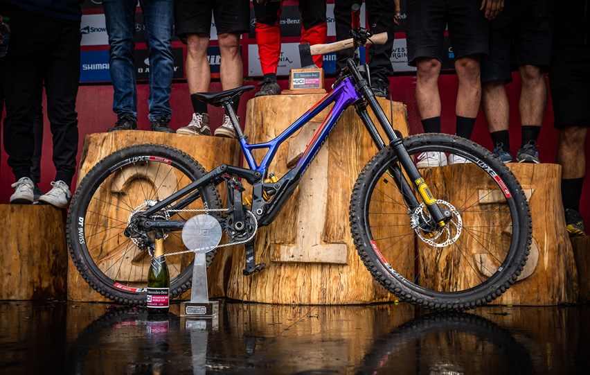 Loic bruni cheap dh bike